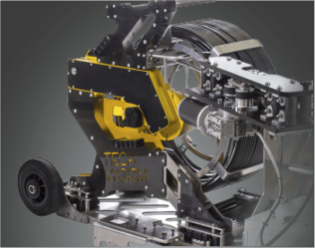 IS PART OF THE LATERAL SYSTEM